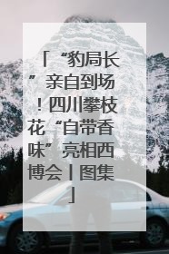 “豹局长”亲自到场！四川攀枝花“自带香味”亮相西博会丨图集