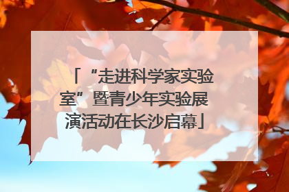 “走进科学家实验室”暨青少年实验展演活动在长沙启幕