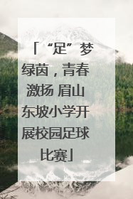 “足”梦绿茵，青春激扬 眉山东坡小学开展校园足球比赛