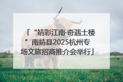 “靖彩江南·奇遇土楼”南靖县2025杭州专场文旅招商推介会举行
