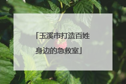 玉溪市打造百姓身边的急救室