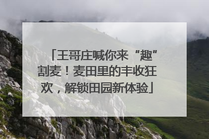 王哥庄喊你来“趣”割麦！麦田里的丰收狂欢，解锁田园新体验