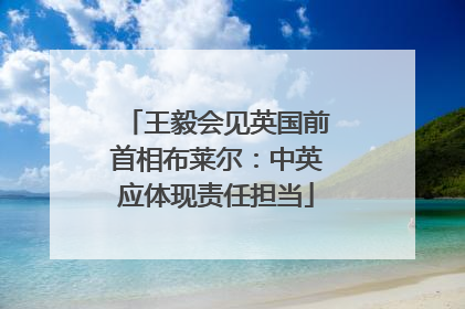王毅会见英国前首相布莱尔：中英应体现责任担当