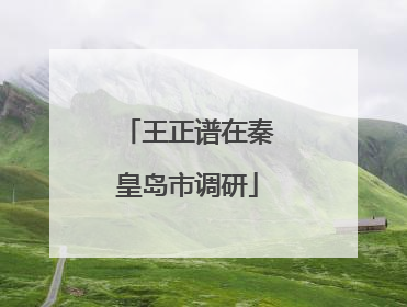 王正谱在秦皇岛市调研