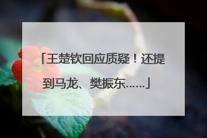 王楚钦回应质疑！还提到马龙、樊振东……