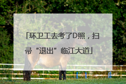 环卫工去考了D照，扫帚“退出”临江大道