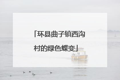 环县曲子镇西沟村的绿色蝶变