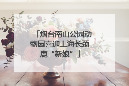 烟台南山公园动物园喜迎上海长颈鹿“新娘”