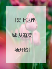 爱上这座城 从逛菜场开始