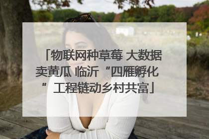 物联网种草莓 大数据卖黄瓜 临沂“四雁孵化”工程链动乡村共富