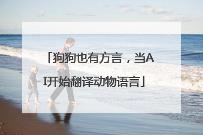 狗狗也有方言，当AI开始翻译动物语言