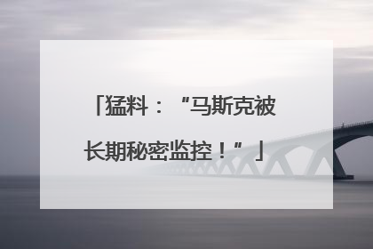 猛料：“马斯克被长期秘密监控！”