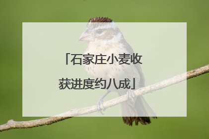石家庄小麦收获进度约八成