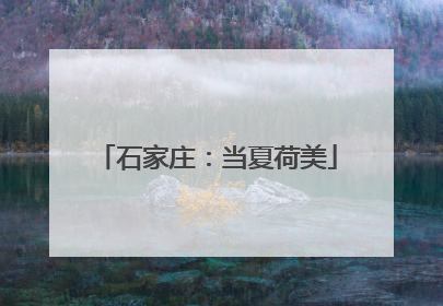 石家庄：当夏荷美