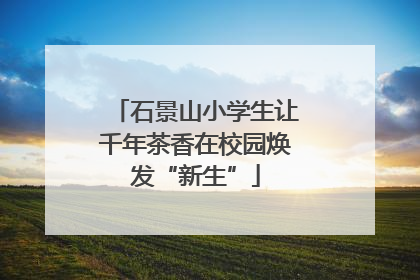 石景山小学生让千年茶香在校园焕发“新生”