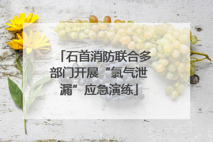 石首消防联合多部门开展“氯气泄漏”应急演练