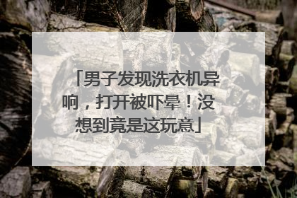 男子发现洗衣机异响，打开被吓晕！没想到竟是这玩意