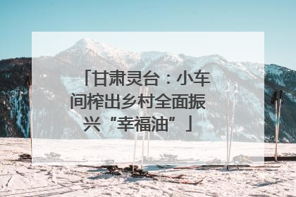 甘肃灵台：小车间榨出乡村全面振兴“幸福油”