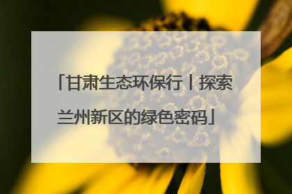 甘肃生态环保行丨探索兰州新区的绿色密码