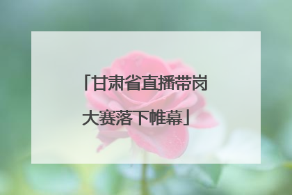甘肃省直播带岗大赛落下帷幕
