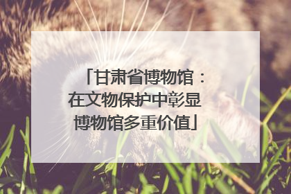 甘肃省博物馆：在文物保护中彰显博物馆多重价值