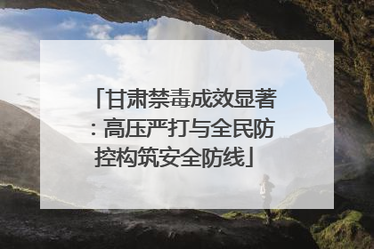 甘肃禁毒成效显著：高压严打与全民防控构筑安全防线