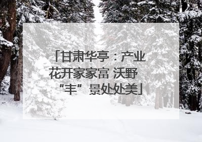 甘肃华亭：产业花开家家富 沃野“丰”景处处美