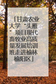 甘肃农业大学“头雁”项目现代畜牧业高质量发展培训班走进榆林榆阳区