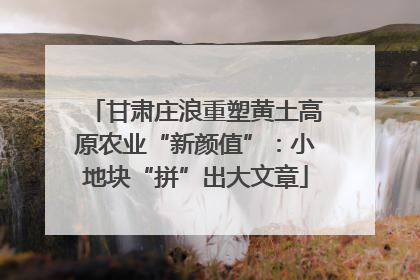 甘肃庄浪重塑黄土高原农业“新颜值”：小地块“拼”出大文章