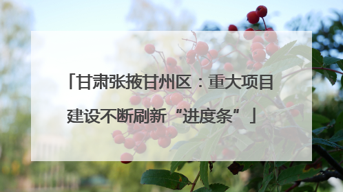 甘肃张掖甘州区：重大项目建设不断刷新“进度条”