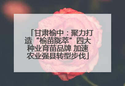 甘肃榆中：聚力打造“榆苗陇萃”四大种业育苗品牌 加速农业强县转型步伐