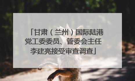 甘肃（兰州）国际陆港党工委委员、管委会主任李建亮接受审查调查