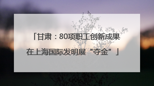 甘肃：80项职工创新成果在上海国际发明展“夺金”