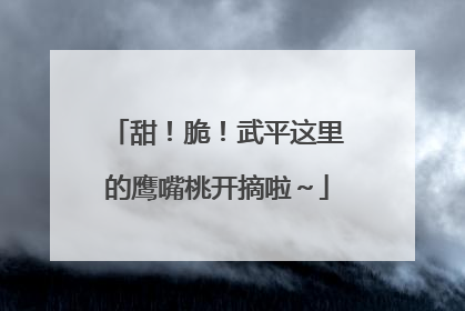 甜！脆！武平这里的鹰嘴桃开摘啦～