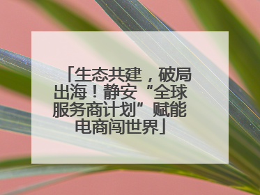 生态共建，破局出海！静安“全球服务商计划”赋能电商闯世界
