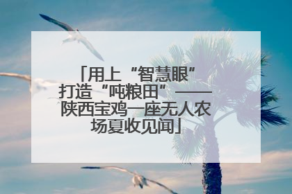 用上“智慧眼” 打造“吨粮田”——陕西宝鸡一座无人农场夏收见闻