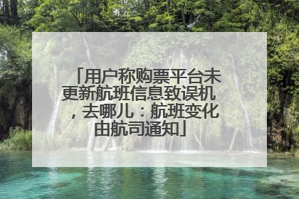 用户称购票平台未更新航班信息致误机，去哪儿：航班变化由航司通知