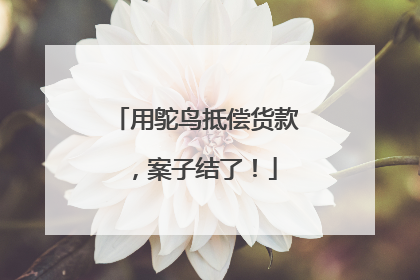 用鸵鸟抵偿货款，案子结了！