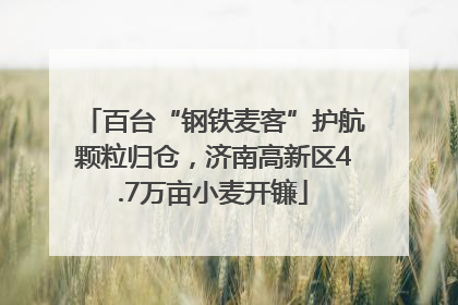 百台“钢铁麦客”护航颗粒归仓，济南高新区4.7万亩小麦开镰