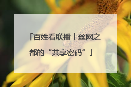 百姓看联播丨丝网之都的“共享密码”