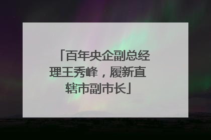 百年央企副总经理王秀峰，履新直辖市副市长