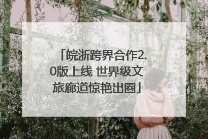 皖浙跨界合作2.0版上线 世界级文旅廊道惊艳出圈