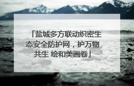 盐城多方联动织密生态安全防护网，护万物共生 绘和美画卷