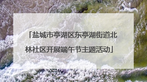盐城市亭湖区东亭湖街道北林社区开展端午节主题活动