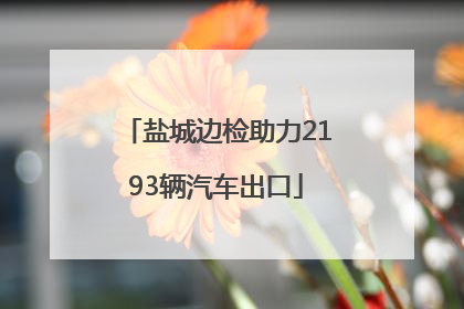 盐城边检助力2193辆汽车出口