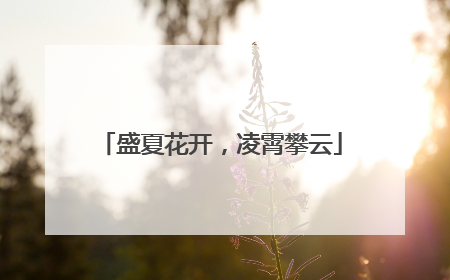 盛夏花开，凌霄攀云