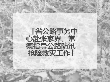 省公路事务中心赴张家界、常德指导公路防汛抢险救灾工作