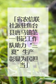 省农信联社派驻鱼台县唐马镇第一书记工作队助力“三夏”生产 彰显为民担当