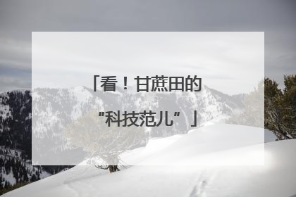 看！甘蔗田的“科技范儿”