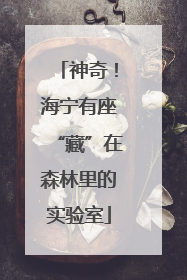 神奇！海宁有座“藏”在森林里的实验室